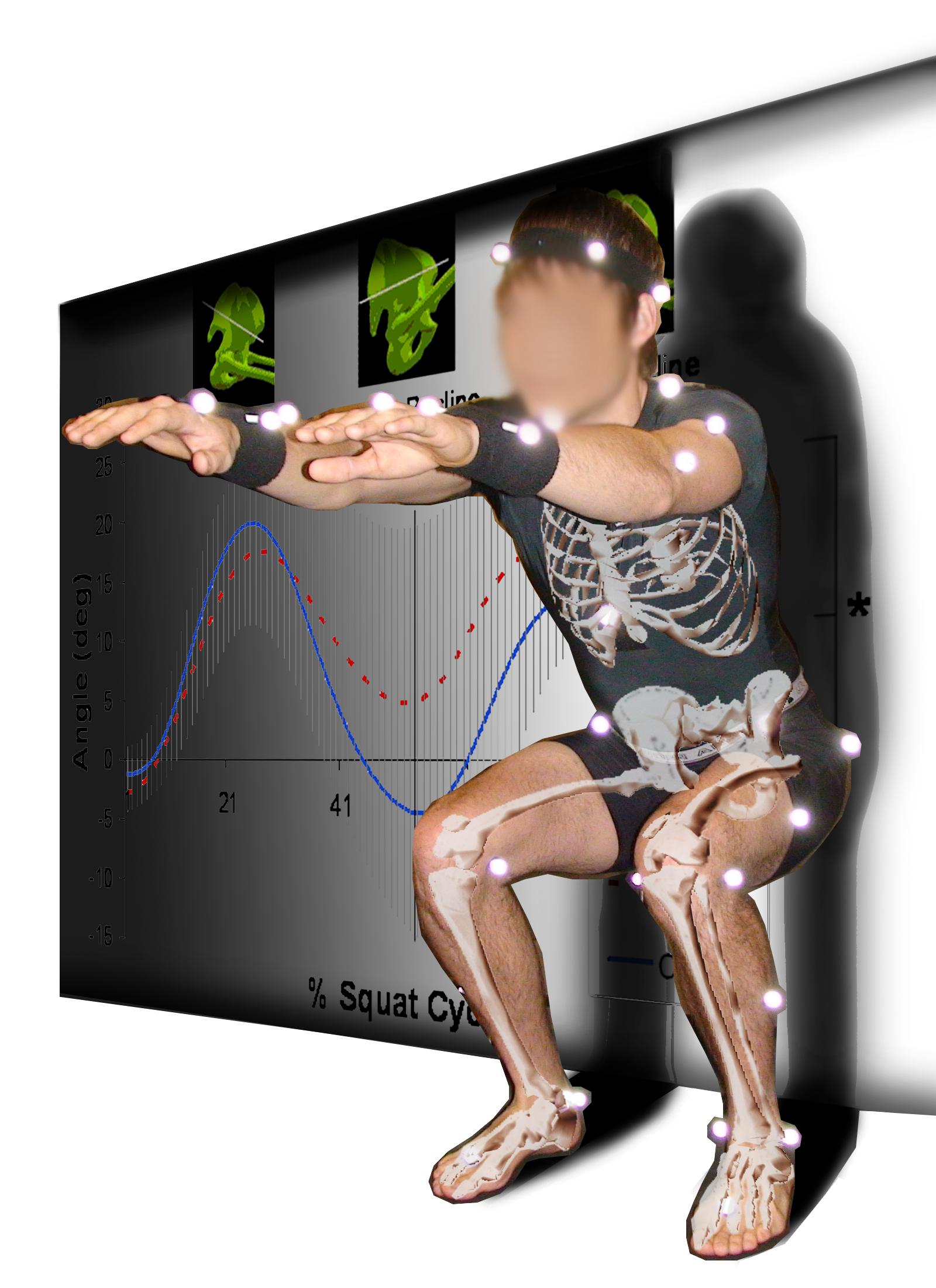 Biomechanics_Squat-Skeleton